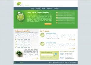 raw-html-theme-home-page